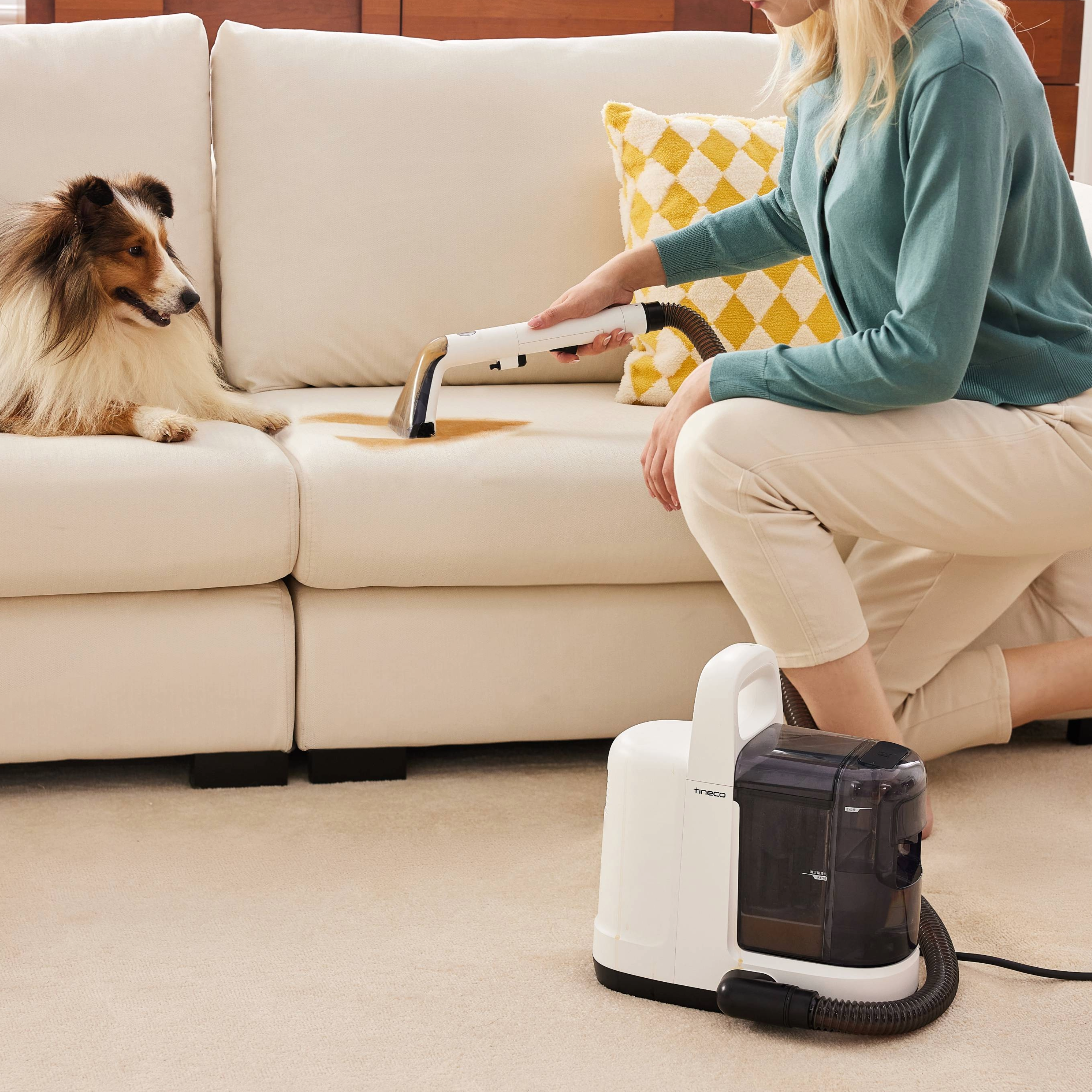 Tineco iCarpet Spot