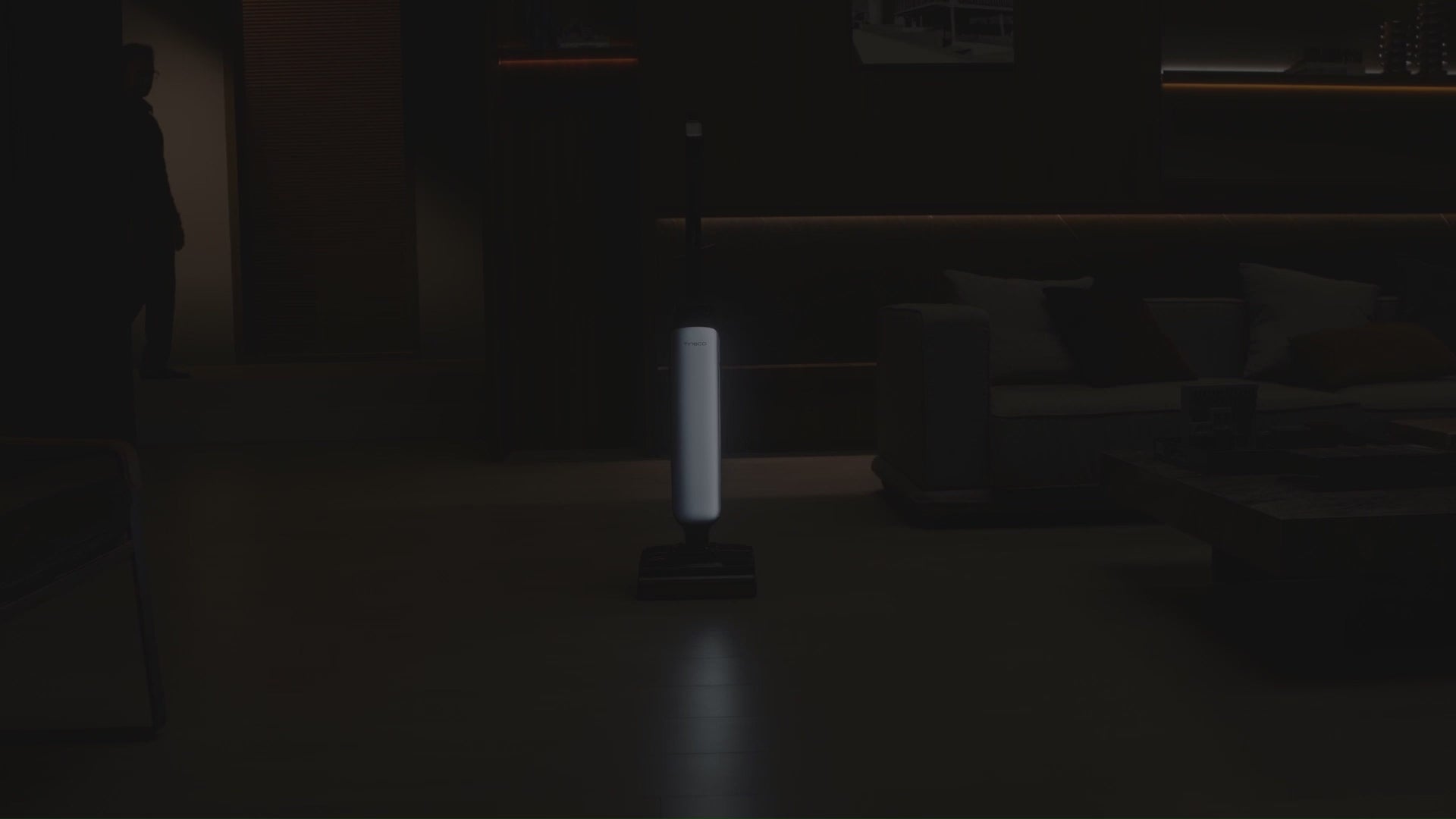 Load video: 